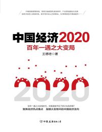 中国经济2020：百年一遇之大变局